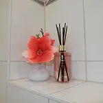 Naehe Frankfurt, Hanau Apartament Hainburg