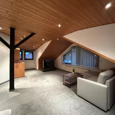 Naehe Frankfurt, Hanau Apartament