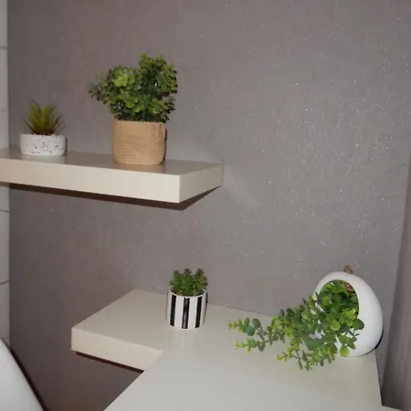 Naehe Frankfurt, Hanau 公寓 Hainburg